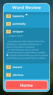 Stripper definition